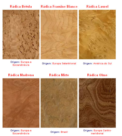 Lâmina de rádica bétula frassino